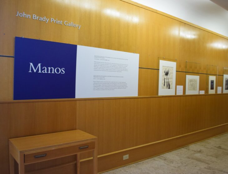 Manos exhibition in museum