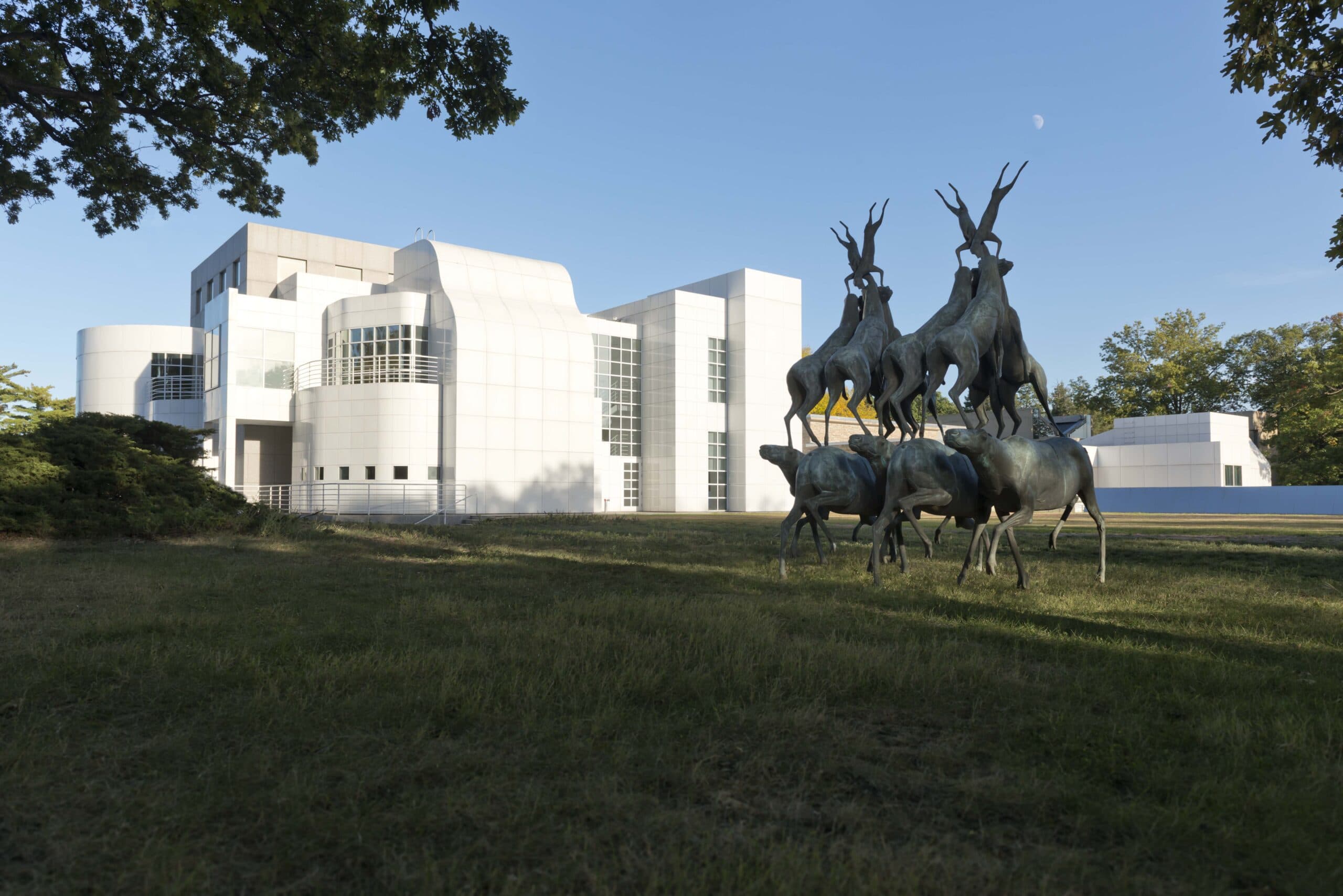 Donation Request Form Des Moines Art Center