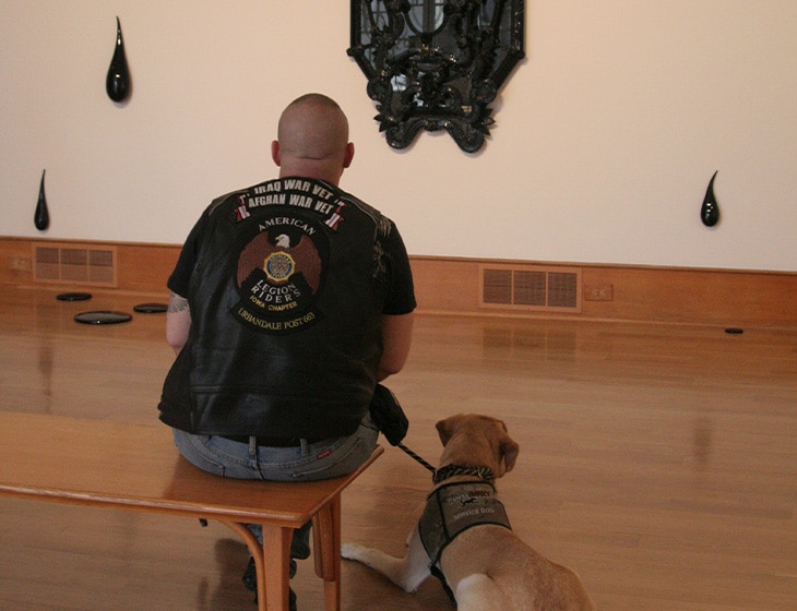 Man sitting on bench with serivce dog laying on ground beside him. Both are looking at a black art sculpture on the wall.