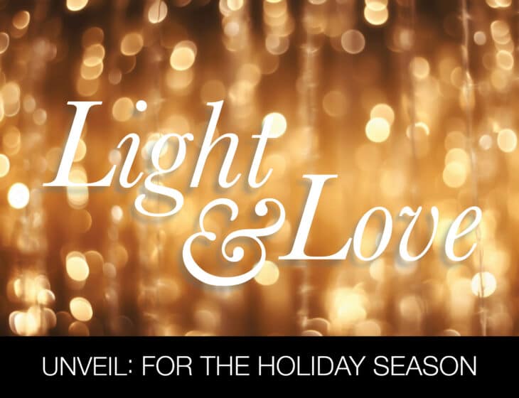 Museum Shop Unveil holiday shopping event - Light & Love