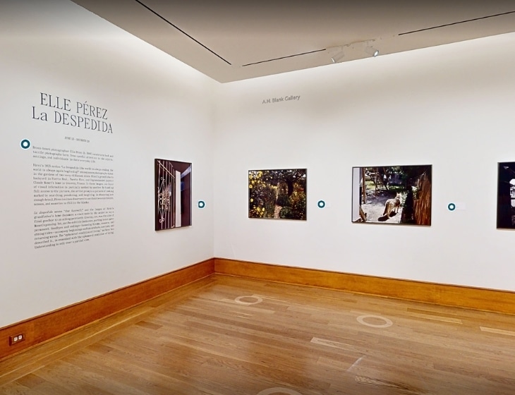 Virtual tour of the exhibition at the Art Center, “Elle Pérez: La Despedida”